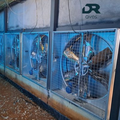 EXAUSTOR BUTTERFLY GALVANIZADO